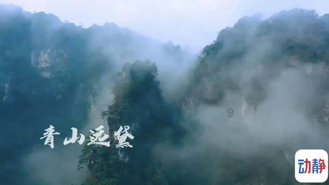 蓝狐视频